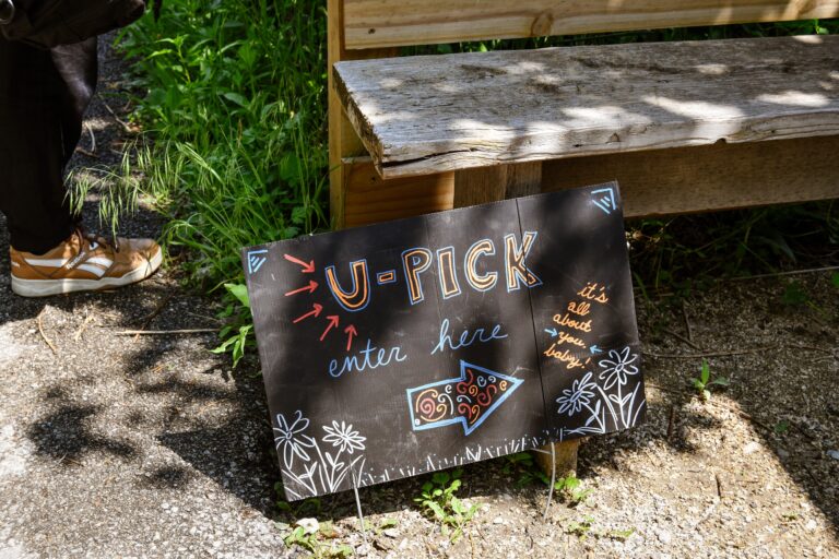 El Paseo Community Garden U-Pick Entrance Sign